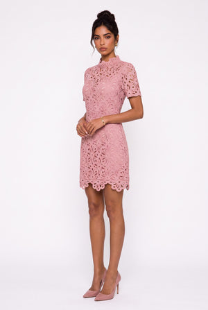 Full Lace Half-Neck Mini Dress Powder